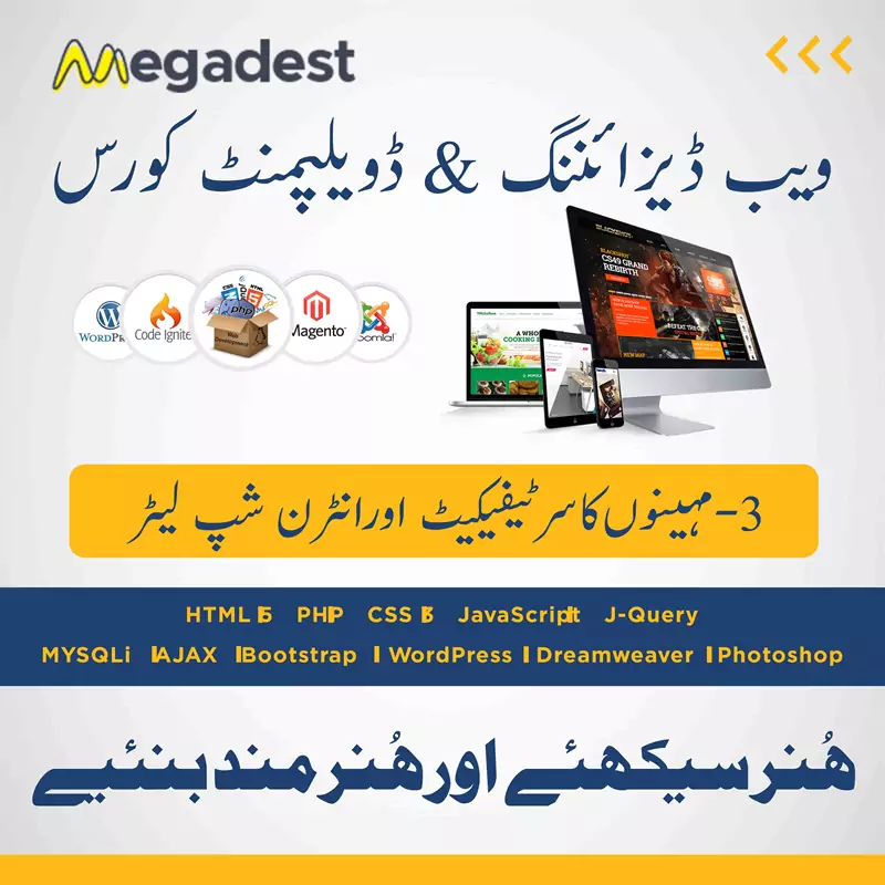 web designing posters in urdu 1 680f4a00459de