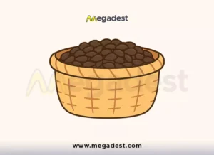 Seed Basket Vector PNG