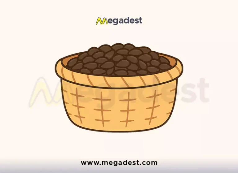 Seed Basket Vector PNG