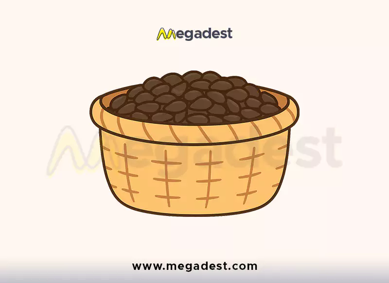 Seed Basket Vector PNG