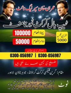 Tape Ball Cricket Tournament Poster in Urdu